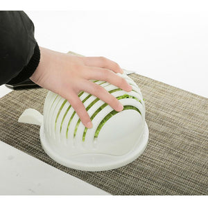 Salad Cutter Bowl