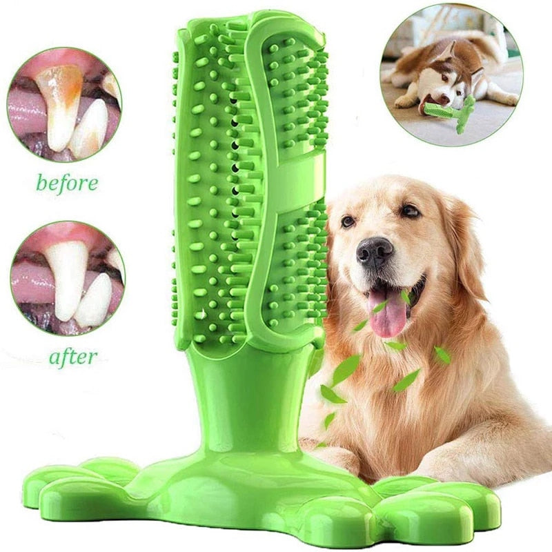 Dog Toothbrush Toy